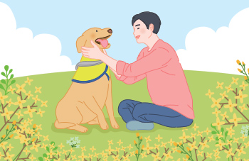 보조견 사진